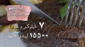 ۲. مصرف گوشت و تغییر اقلیم