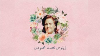 ۴. ژینوس محمودی
