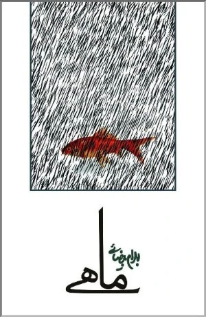 طرح روی جلد ماهی نوشته بهرام بیضایی